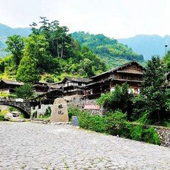巖坦鎮黃南林坑村